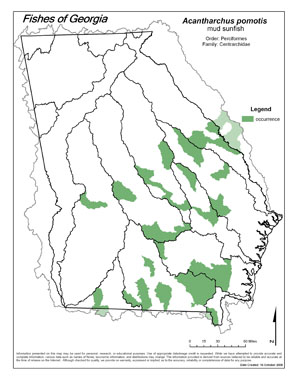 mud sunfish Region Map