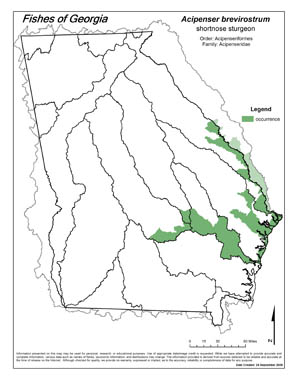 shortnose sturgeon Region Map