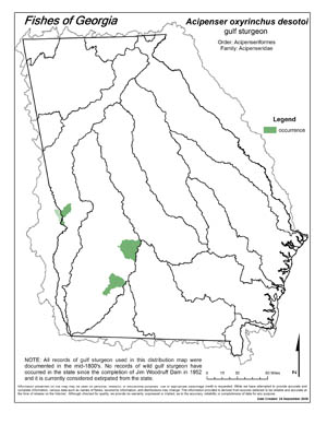 Gulf sturgeon Region Map