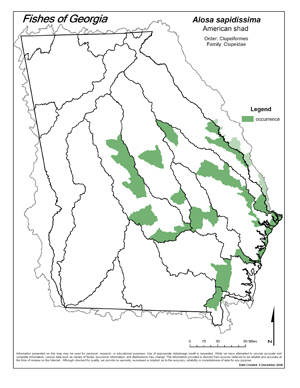 American shad Region Map