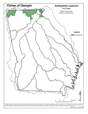 rock bass Region Map