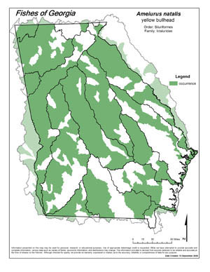 yellow bullhead Region Map
