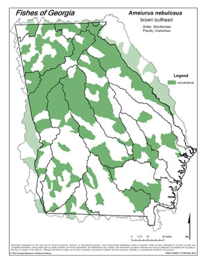 brown bullhead Region Map