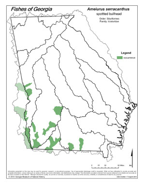 spotted bullhead Region Map