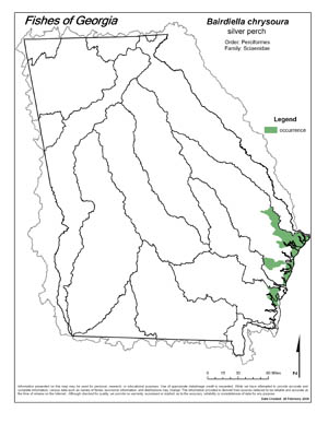silver perch Region Map