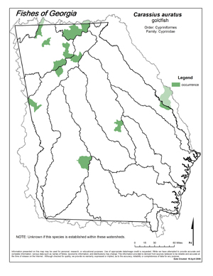 goldfish Region Map