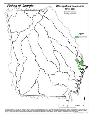 darter goby Region Map