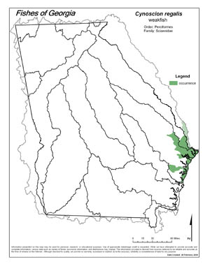 weakfish Region Map