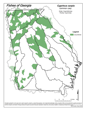 common carp Region Map