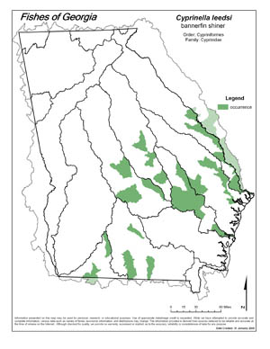 bannerfin shiner Region Map