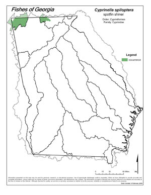 spotfin shiner Region Map