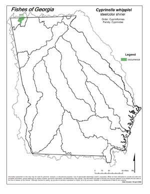 steelcolor shiner Region Map