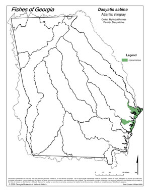 Atlantic stingray Region Map