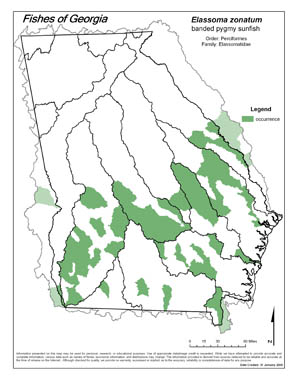 banded pygmy sunfish Region Map