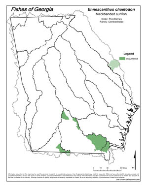 blackbanded sunfish Region Map