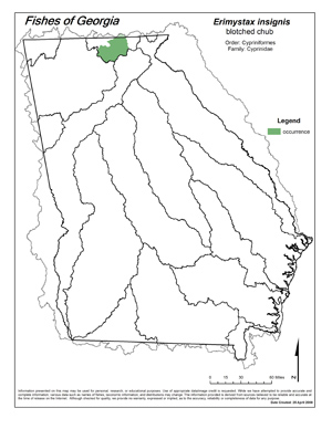 blotched chub Region Map