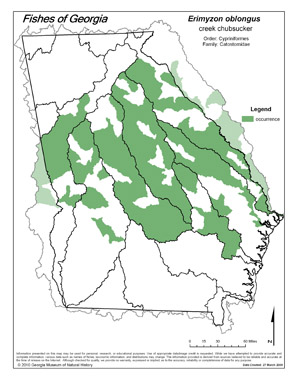 creek chubsucker Region Map