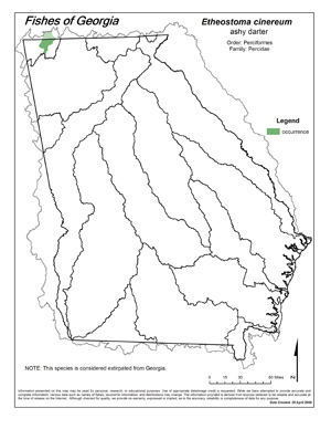 ashy darter Region Map