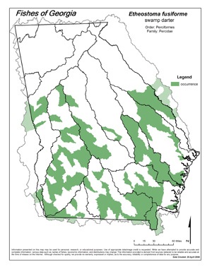 swamp darter Region Map