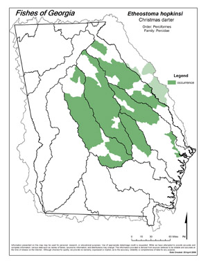 Christmas darter Region Map