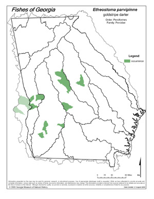 goldstripe darter Region Map