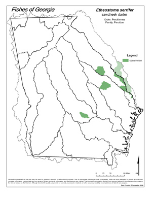 sawcheek darter Region Map