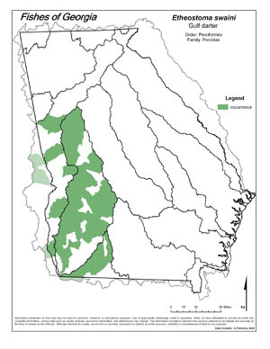 gulf darter Region Map