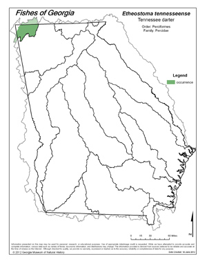 Tennessee darter Region Map