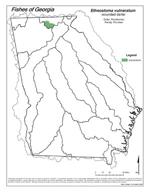 wounded darter Region Map
