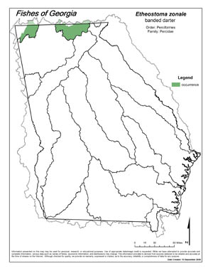 banded darter Region Map
