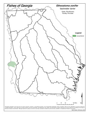 backwater darter Region Map