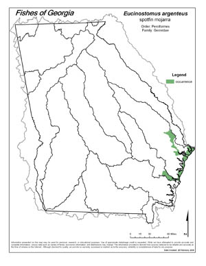 spotfin mojarra Region Map
