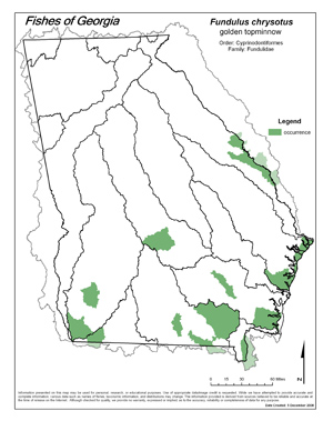 golden topminnow Region Map