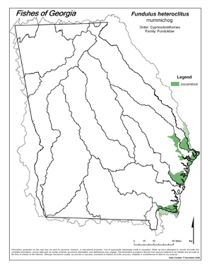 mummichog Region Map
