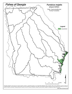 striped killifish Region Map