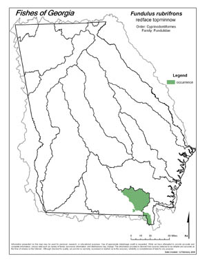 redface topminnow Region Map