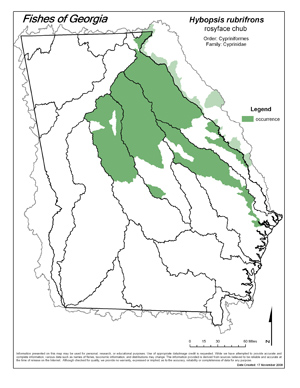 rosyface chub Region Map