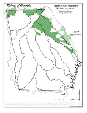 northern hog sucker Region Map