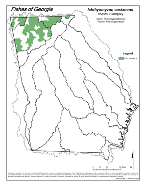 chestnut lamprey Region Map