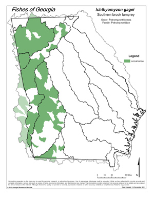 southern brook lamprey Region Map