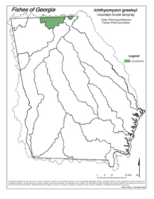 mountain brook lamprey Region Map