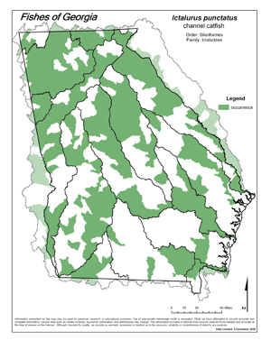 channel catfish Region Map