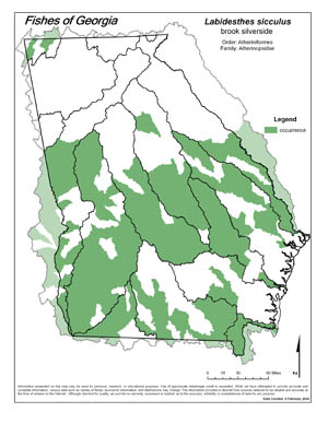 brook silverside Region Map
