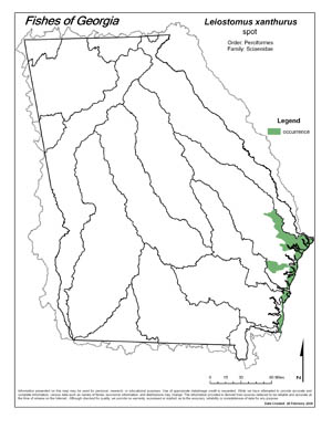 spot Region Map