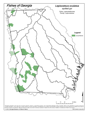 spotted gar Region Map