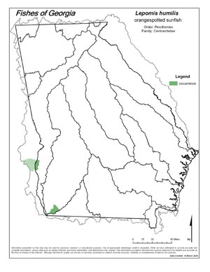 orangespotted sunfish Region Map