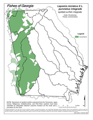 spotted sunfish integrade Region Map