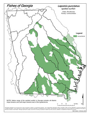 spotted sunfish Region Map