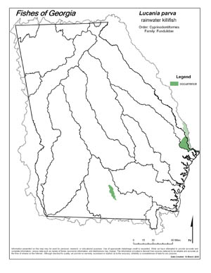 rainwater killifish Region Map
