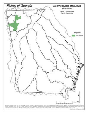 silver chub Region Map